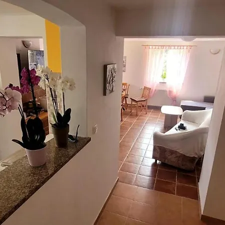 Apartma Brin Апартаменты Бовец
