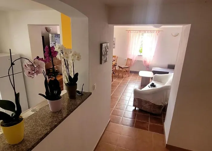 Apartma Brin דירה בובק